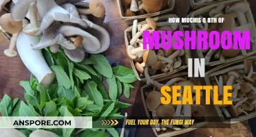 Mushroom Measurements: Seattle's Eighth of Magic