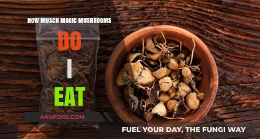 Safe Dosage Guide: How Much Magic Mushrooms Should You Consume?