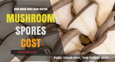 Blue Oyster Mushroom Spores: Understanding Their Cost and Value