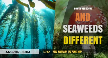 Mushrooms vs Seaweed: A Tale of Two Fungi