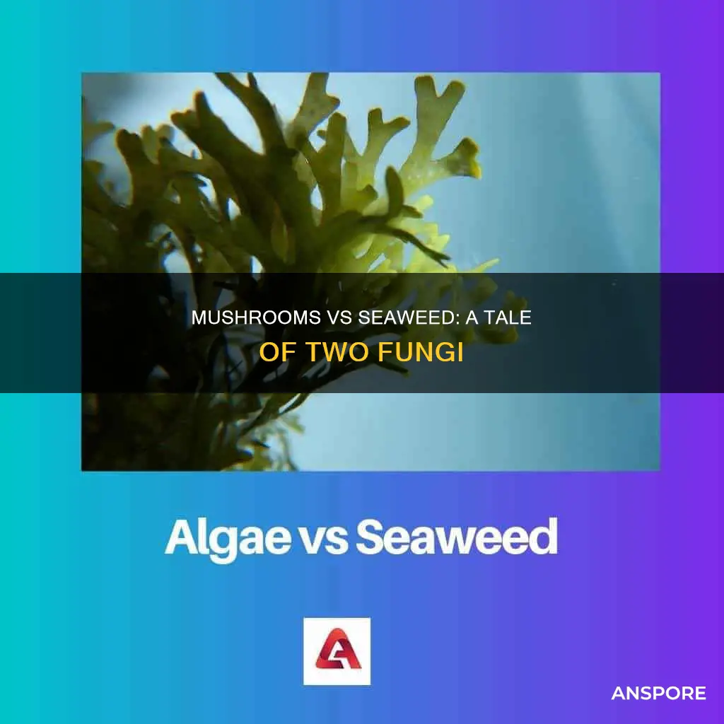 how mushroom and seaweeds different