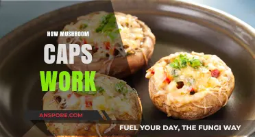 Mushroom Caps: Nature's Magic Unveiled
