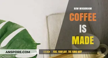 Mushroom Coffee: A Step-by-Step Guide to Brewing