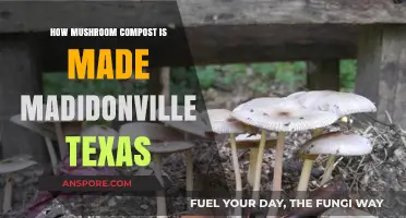 Mushroom Compost Making Process in Madisonville, Texas