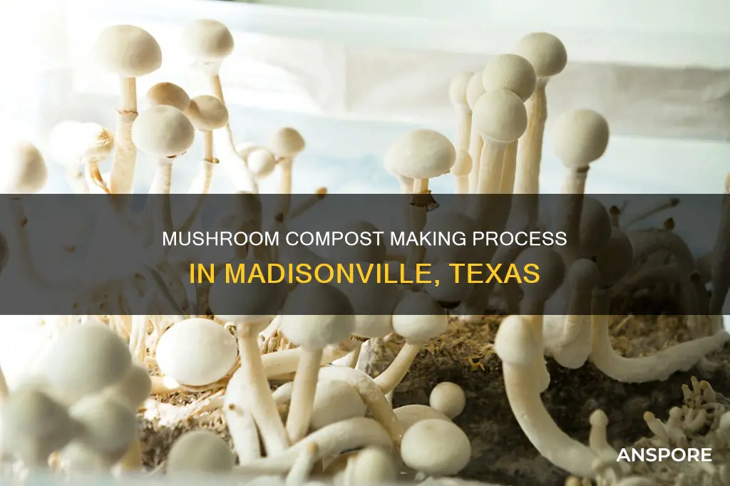 how mushroom compost is made madidonville texas