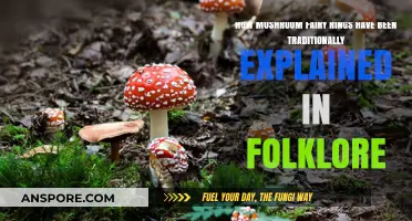Mushroom Fairy Rings: Folklore and Superstition