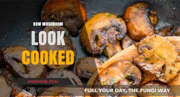 Exploring the Transformed Appearance of Cooked Mushrooms: A Visual Guide