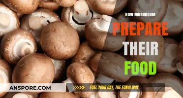 Mushrooms' Intriguing Food Preparation Process