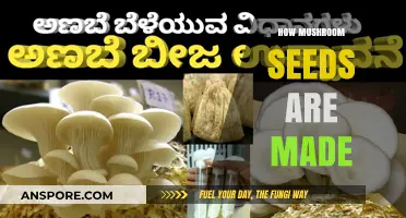 Mushroom Seeds: Making Magic Happen