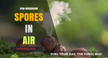 Mushroom Spores: How They Travel Through Air