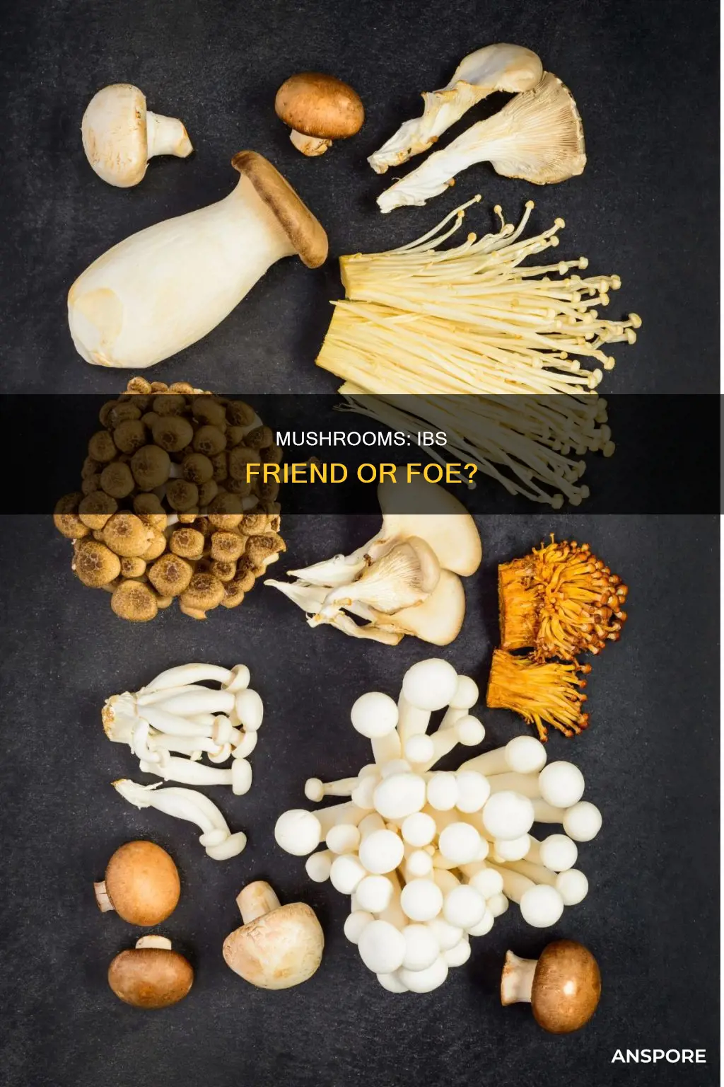 how mushrooms affect ibs