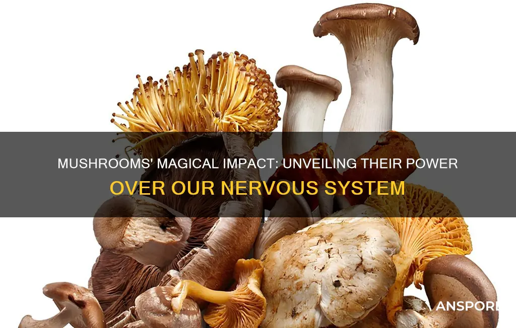 how mushrooms affect the nervous system