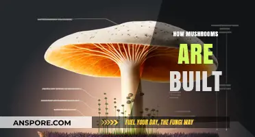Mushrooms' Intricate Structure: Nature's Intriguing Design