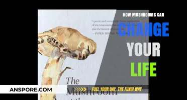 Mushrooms: Unlocking Health, Mindfulness, and Life-Changing Possibilities