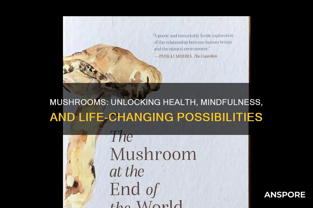 how mushrooms can change your life
