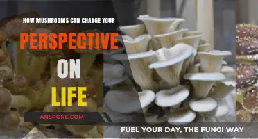 Mushrooms: Unlocking Mindfulness, Growth, and a New Life Perspective