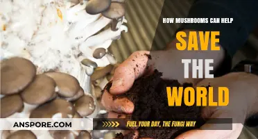 Mushrooms' Power: Unlocking Sustainable Solutions for a Greener Future