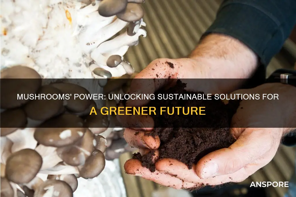 how mushrooms can help save the world