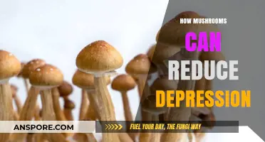 Mushrooms' Surprising Power: Natural Depression Relief Through Fungal Therapy