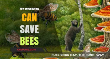Mushrooms' Magic: Unlocking Bee Survival and Ecosystem Revival
