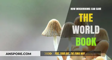 Mushrooms' Revolutionary Role: Unveiling Their Potential to Save Our Planet
