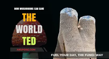 Mushrooms' Surprising Potential to Revolutionize Sustainability and Save Our Planet