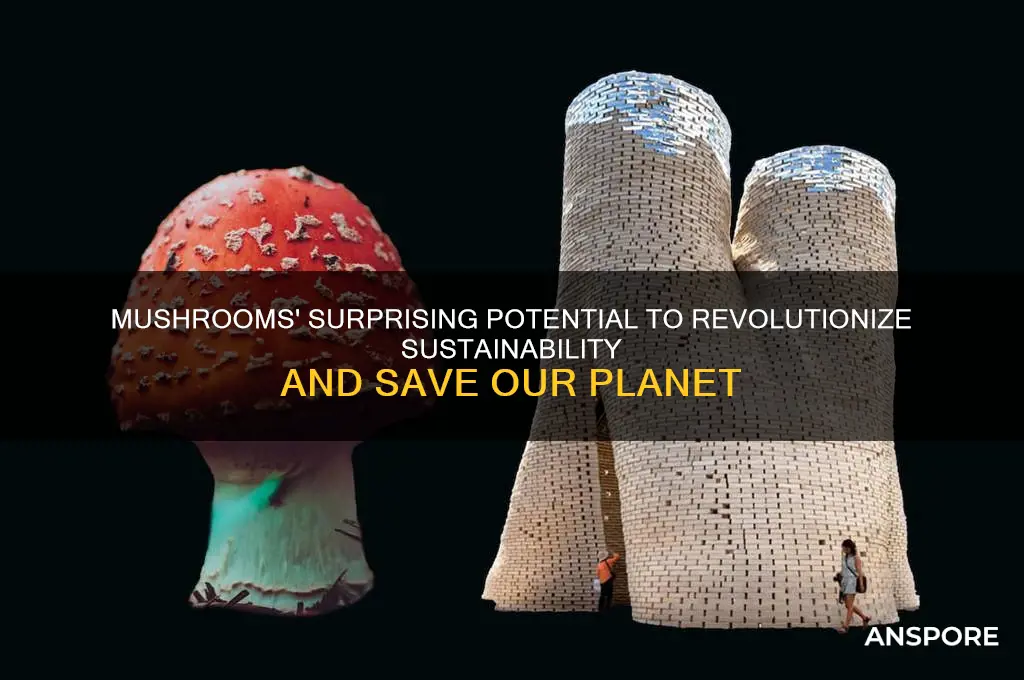 how mushrooms can save the world ted
