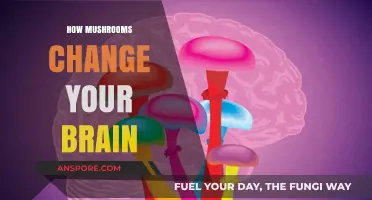 Mushrooms: Brain-Changing Superfood?