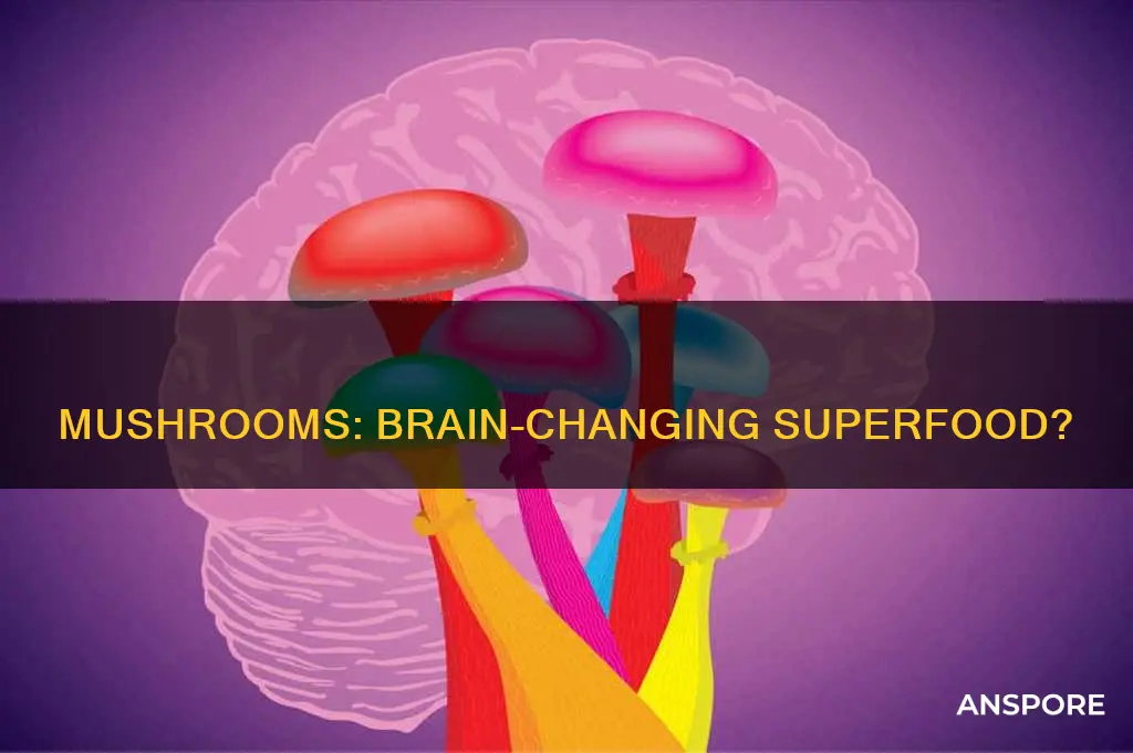 how mushrooms change your brain