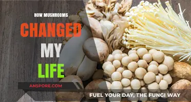 Mushrooms: My Journey to a Healthy, Happy Life