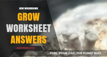 Understanding Mushroom Growth: Worksheet Answers and Key Insights