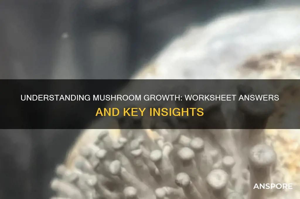 how mushrooms grow worksheet answers