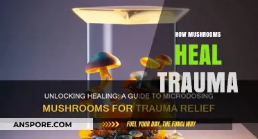 Mushrooms: Nature's Medicine for Trauma and Healing