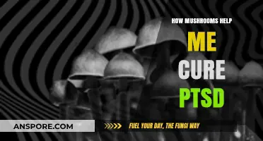 Mushrooms: My Natural PTSD Treatment