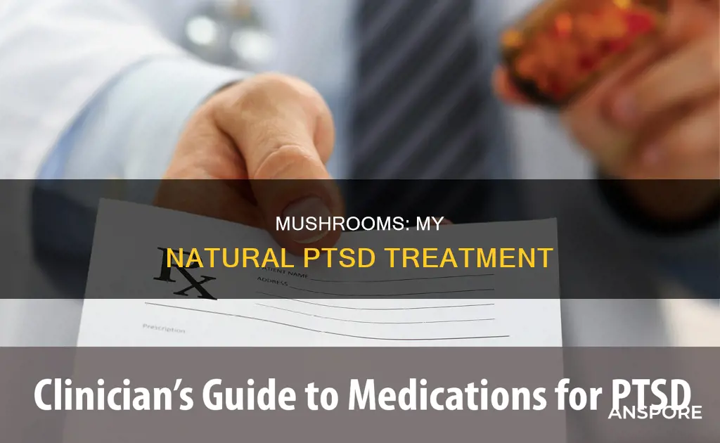 how mushrooms help me cure ptsd