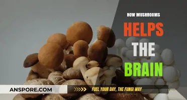 Mushrooms: Brain Food for a Sharper Mind