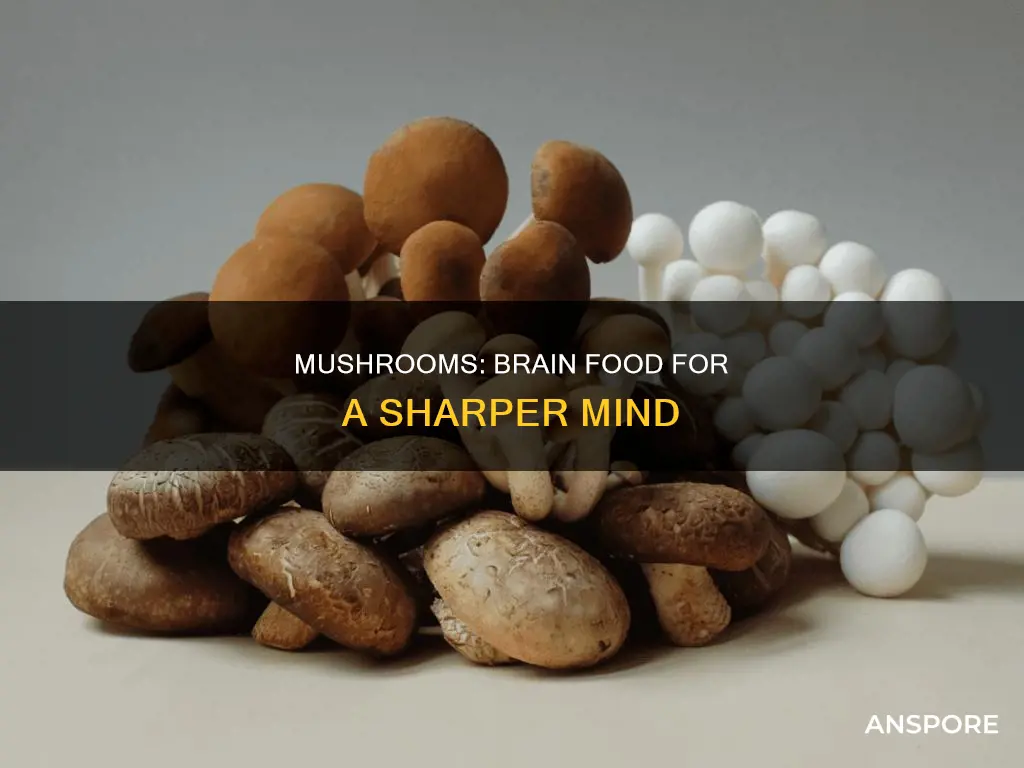 how mushrooms helps the brain