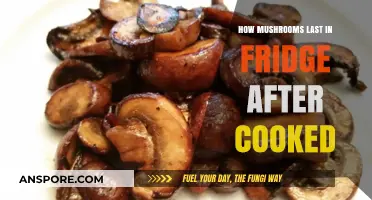 Maximizing Freshness: How Long Cooked Mushrooms Last in the Fridge