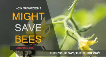 Mushrooms: Saving Bees, Our Food Heroes