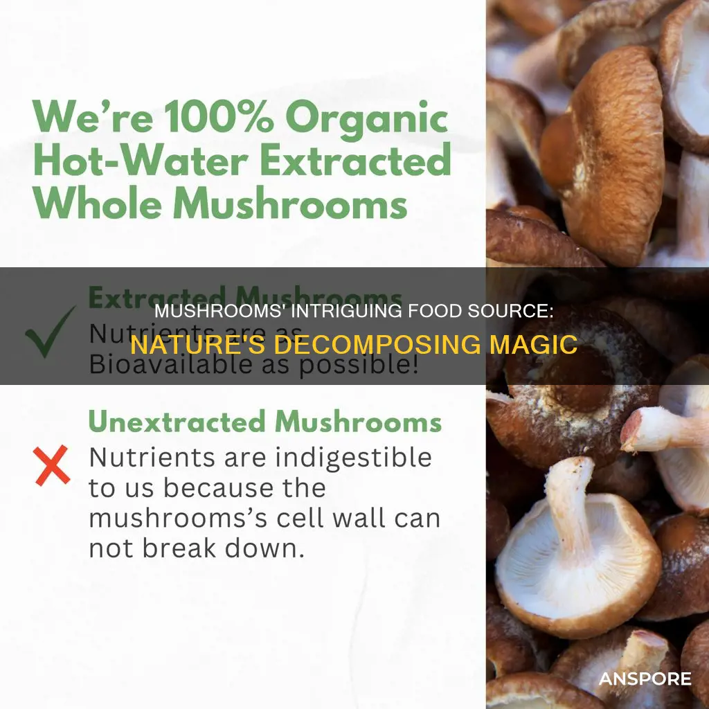 how mushrooms obtain their food