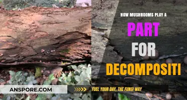 Mushrooms: Nature's Decomposers and Their Role