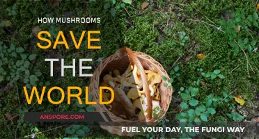 Mushrooms: Saving Our World, One Fungus at a Time