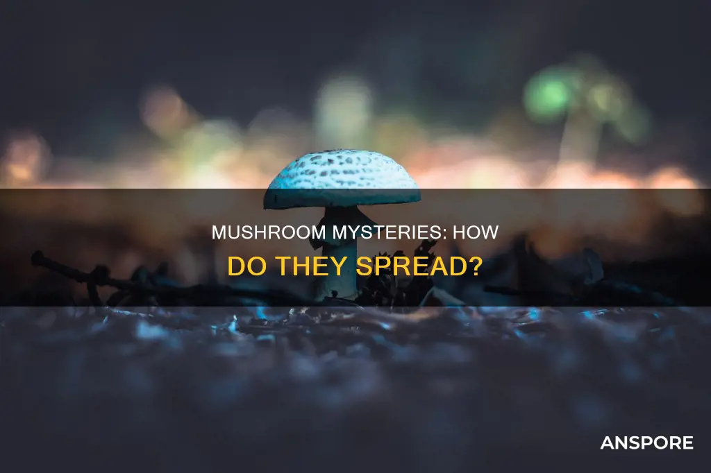 how mushrooms spread