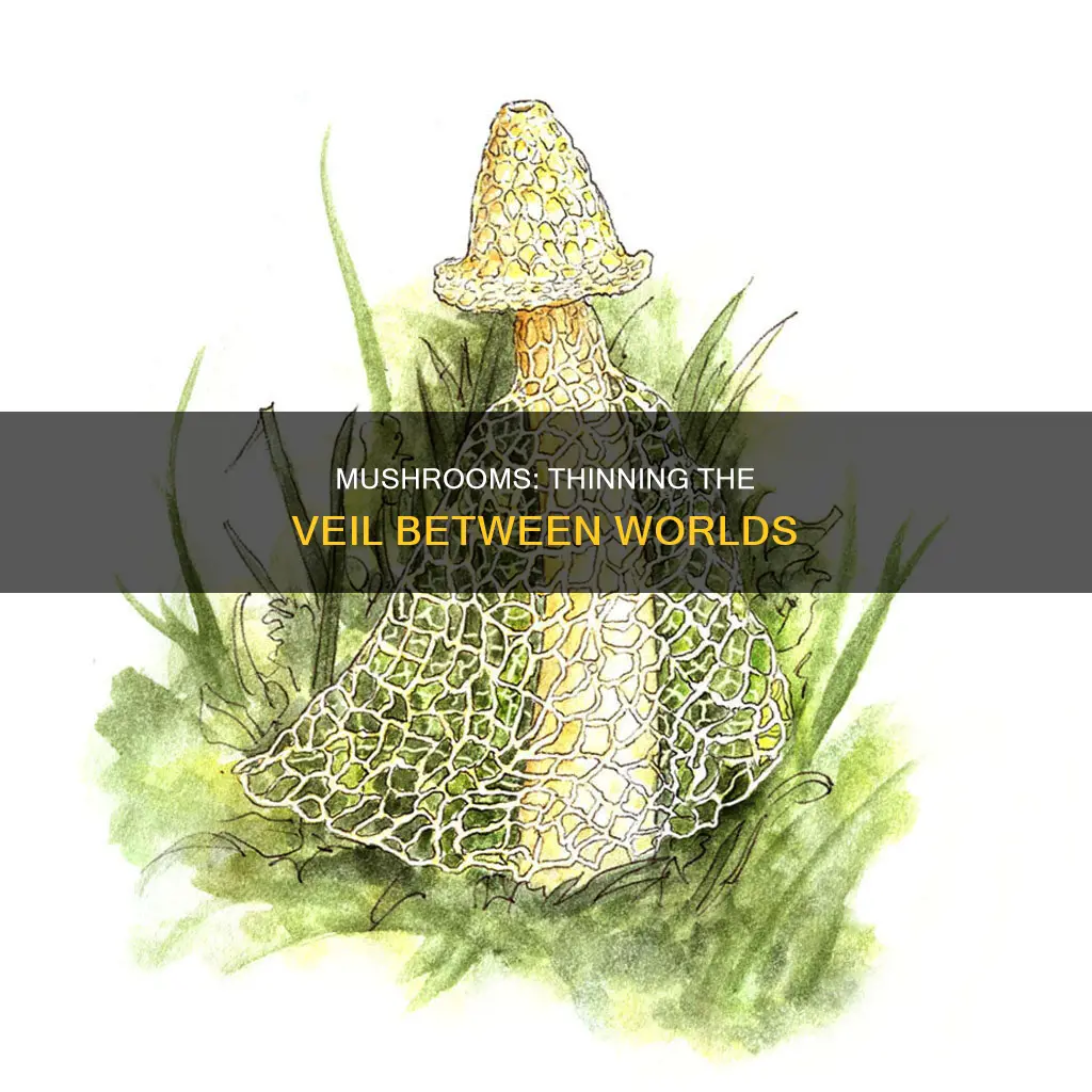 how mushrooms thin the veil