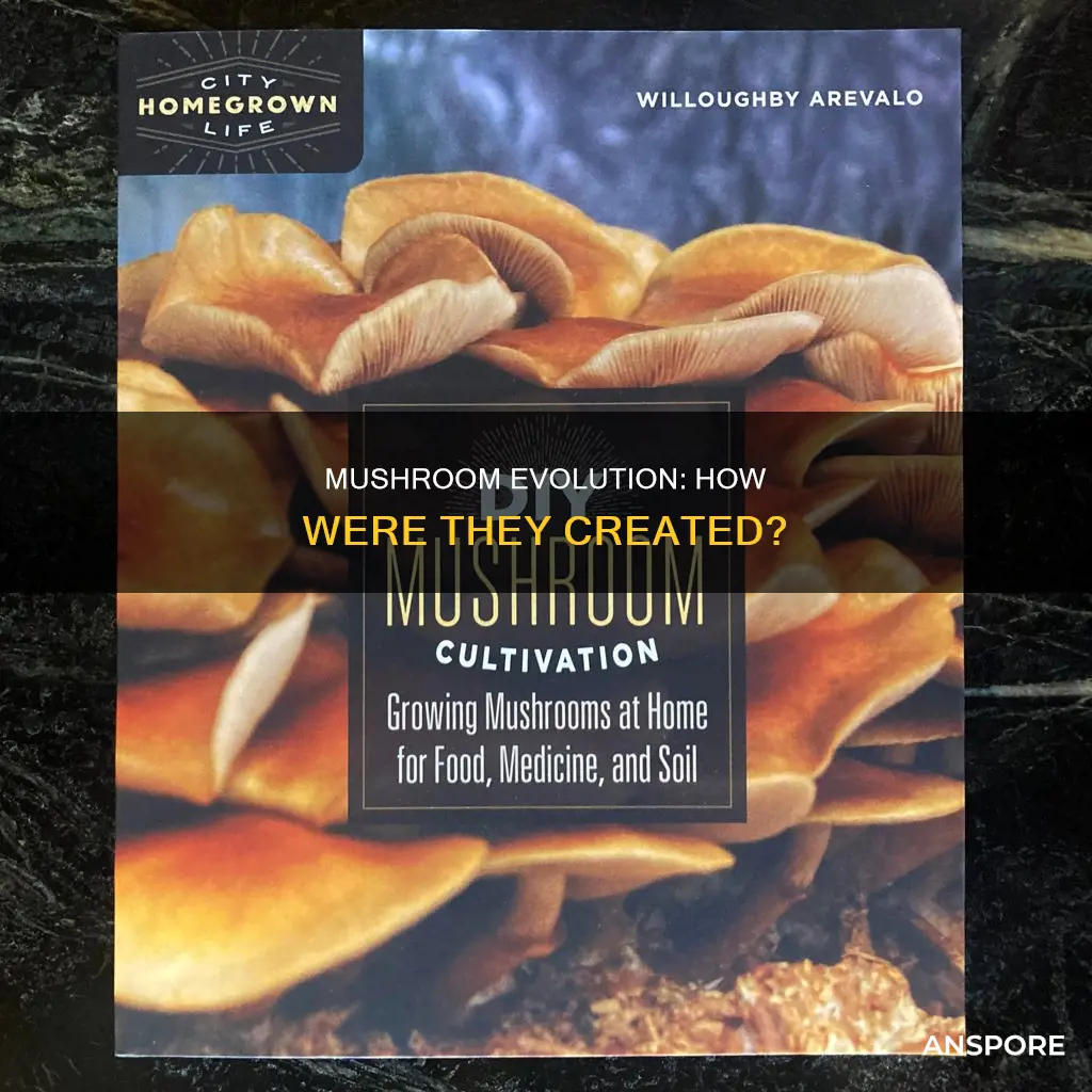 how mushrooms were made