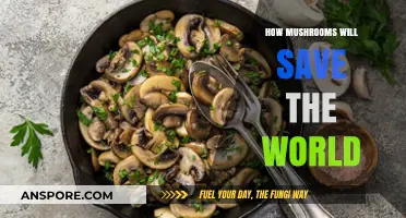 Mushrooms: Saving the World, One Superfood at a Time