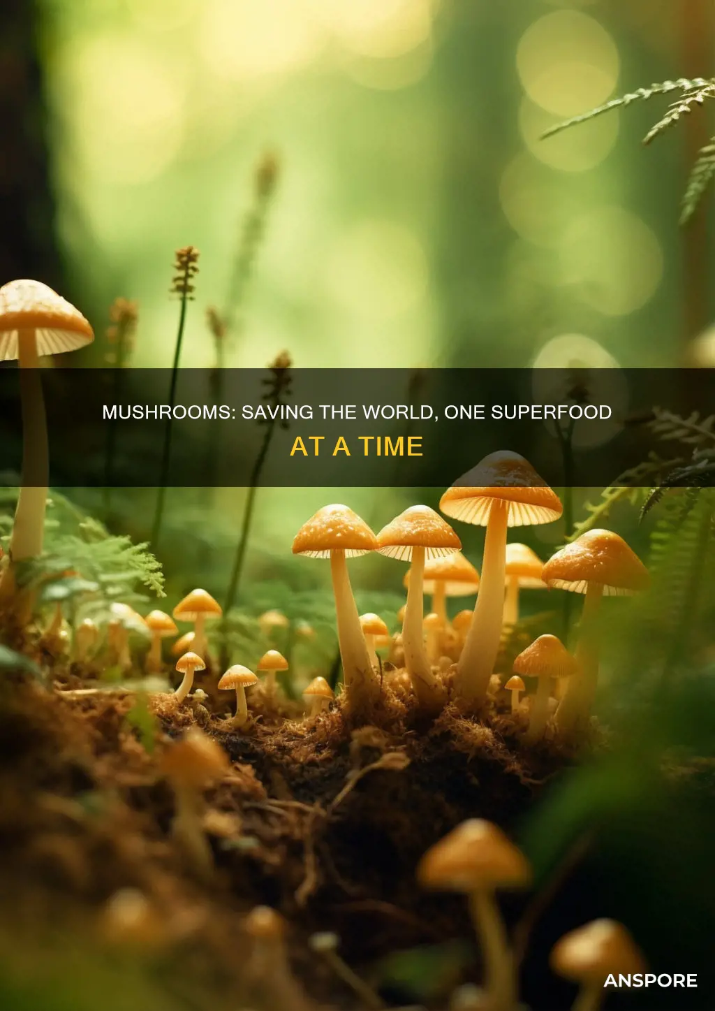 how mushrooms will save the world