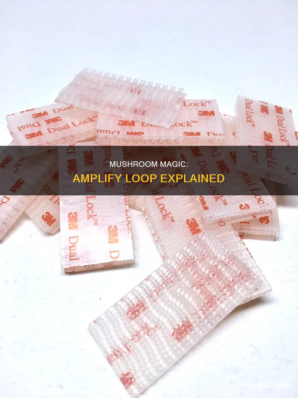 how mushrooms work amplify loop