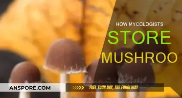 Mycologists' Secrets: Storing Mushrooms