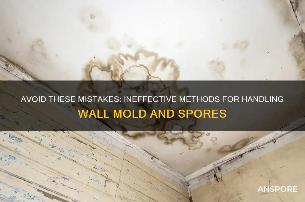 how not to deal with mold and spores in walls